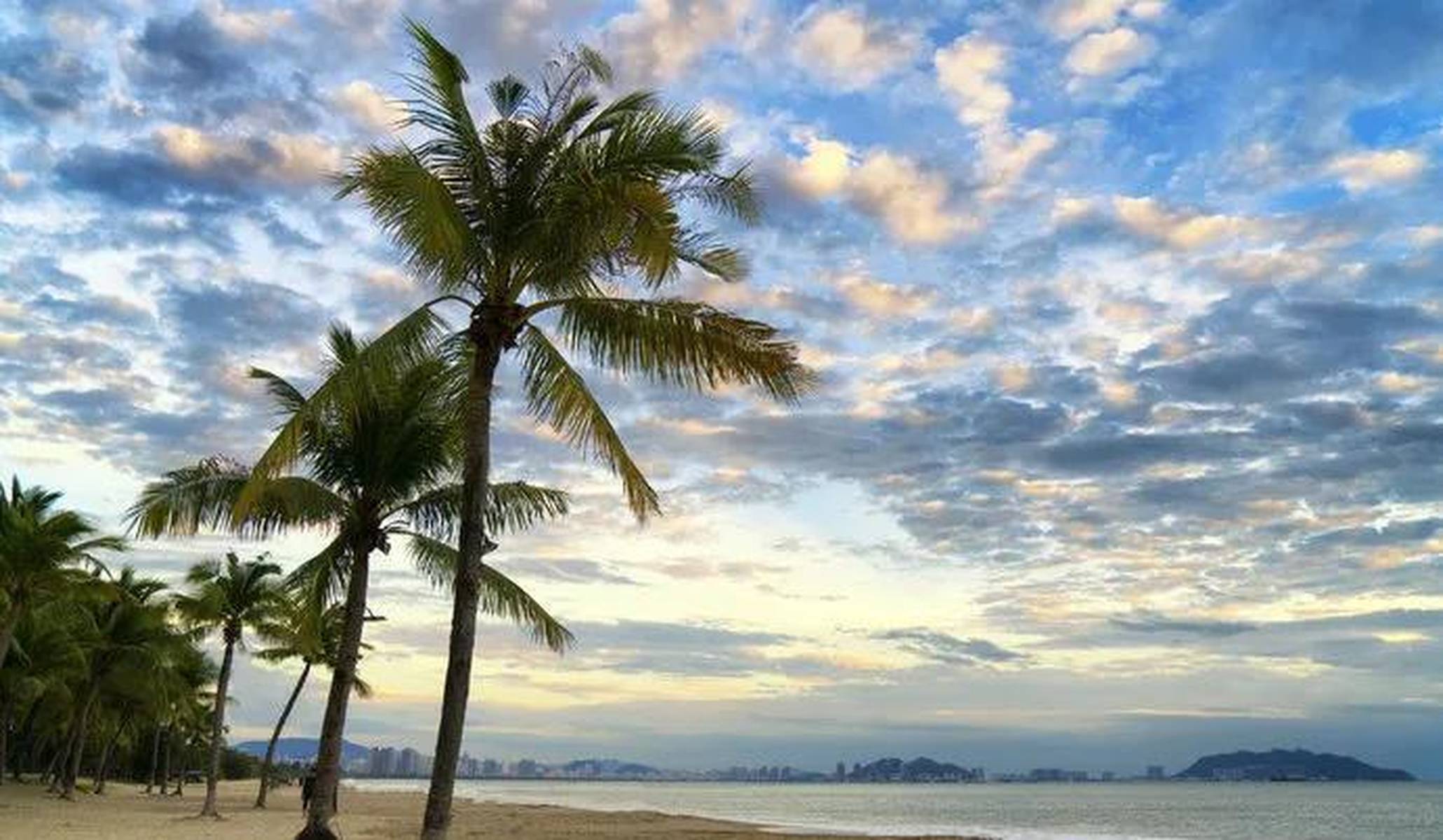 海南热带风情，无限商机等你来探索